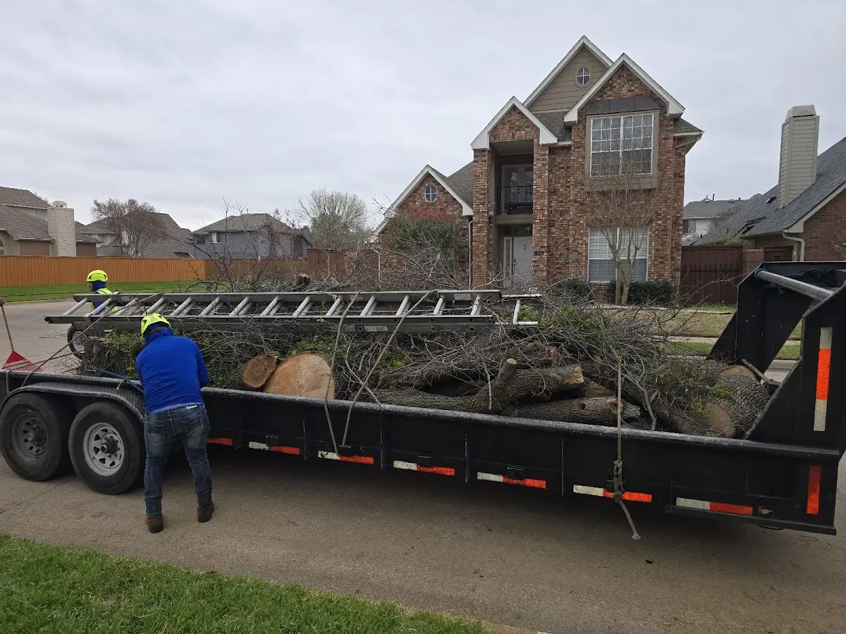 Expert Tree Fertilization with proper safety equipment in Little Deer Isle